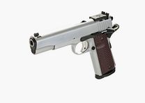 FT 1911 Chromed