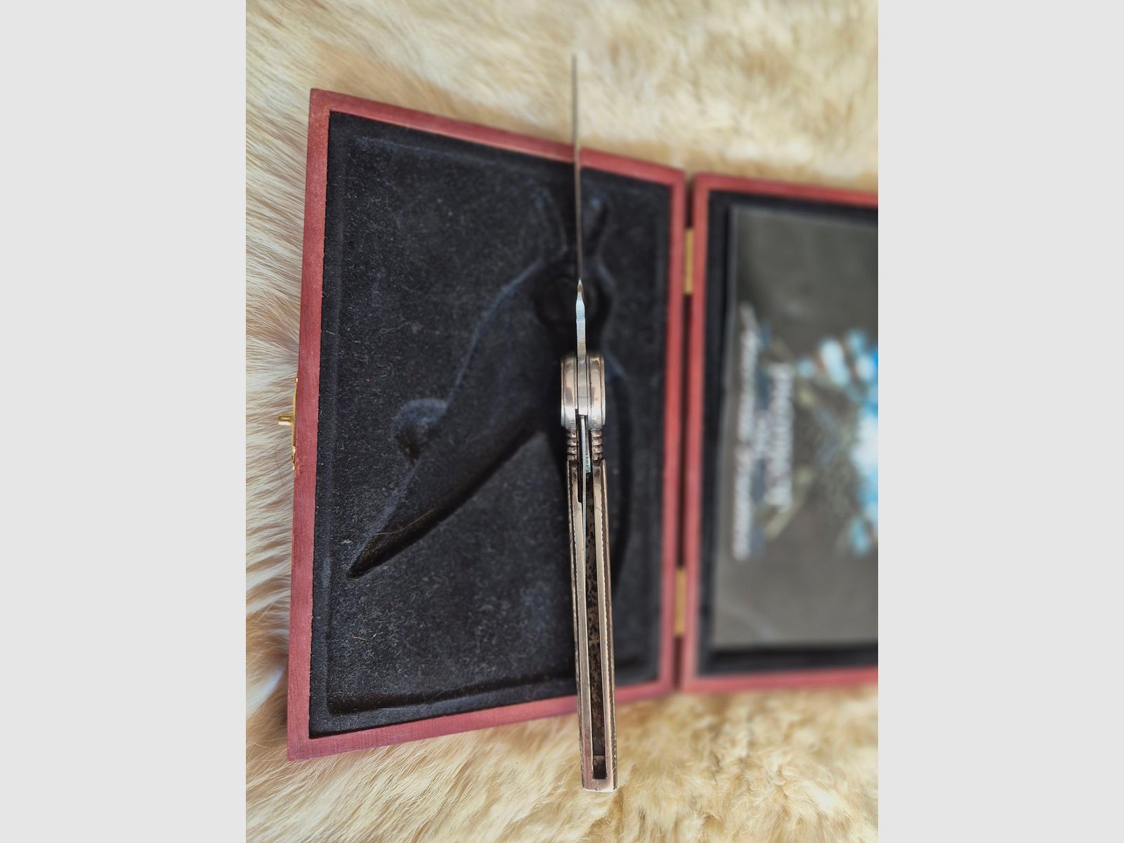 Taschenmesser in Form einer Feder mit Schatulle