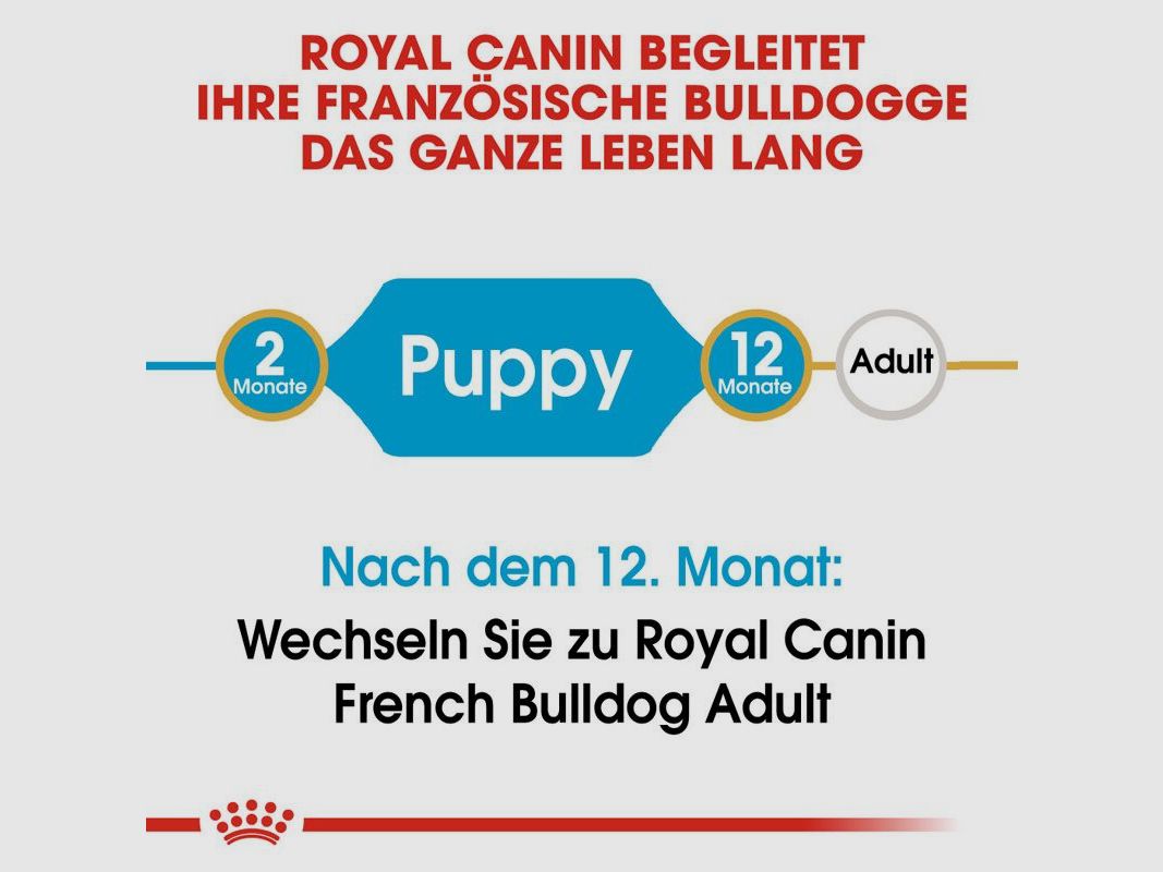 ROYAL CANIN Französische Bulldoggen Trockenfutter Welpen