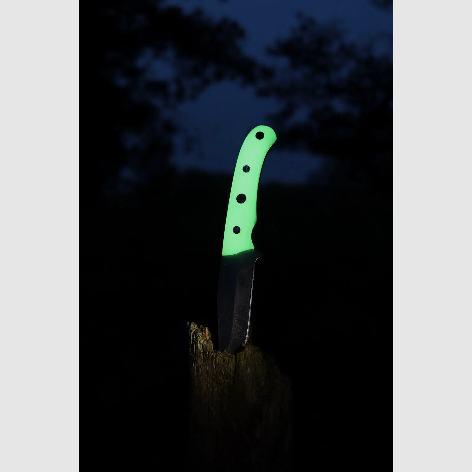 PUMA IP catamount nachleuchtend