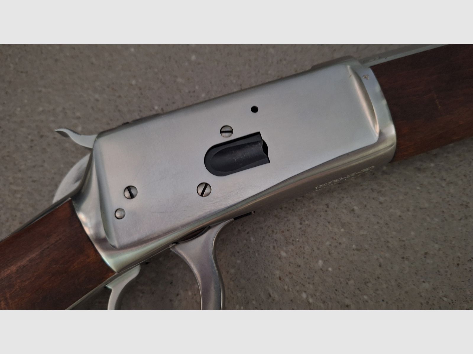 Puma Octagonal, Rossi .44 Magnum 24 inch stainless con Burris Fastfire 3