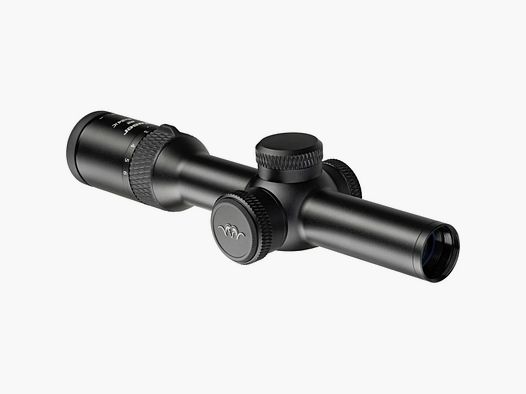 Blaser B2 Ringmontage *Sonderangebot* 1-6x24IC