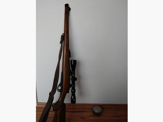 Remington Mohawk 243