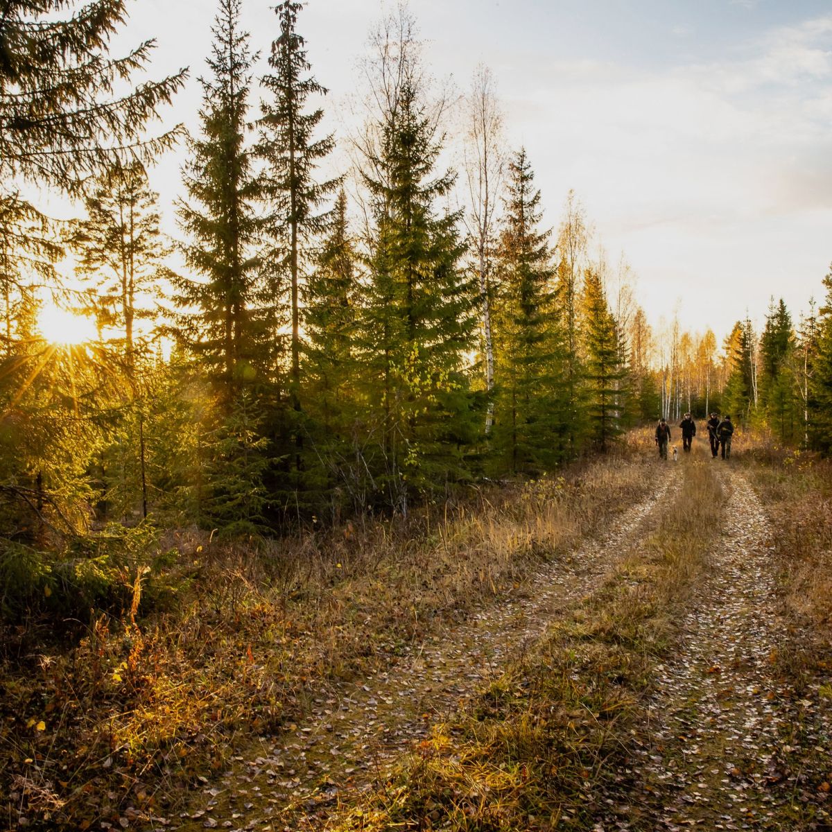 FJÄLLRÄVEN FODERO PER FUCILE Verde Scuro
