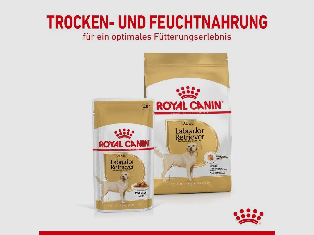 ROYAL CANIN Labrador Retriever Nassfutter Adult Stückchen in Soße 10x140 g