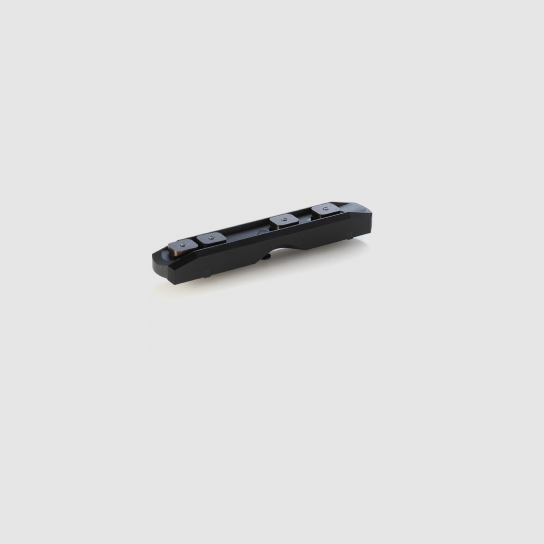Dentler basic steel mounting rail