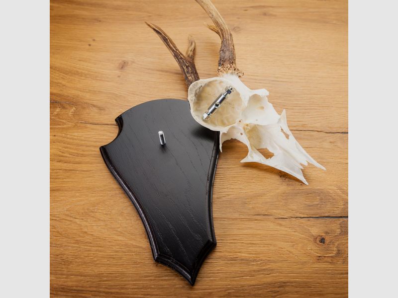 Roe deer antler clamp and screw - 2 pieces