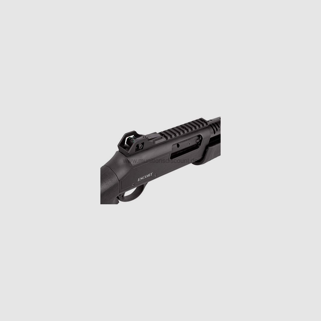 Hatsan Escort BM12 with interchangeable box magazine