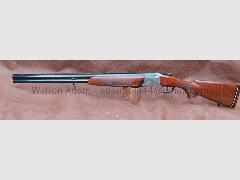 Luigi Franchi, Brescia / Italië Alcione S ; BDF Sport