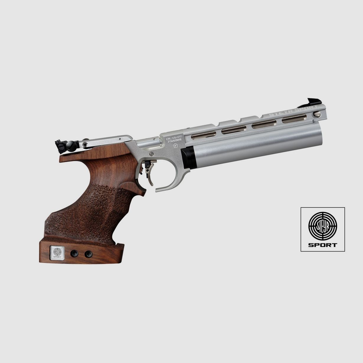 STEYR EVO 10 Compact Silber