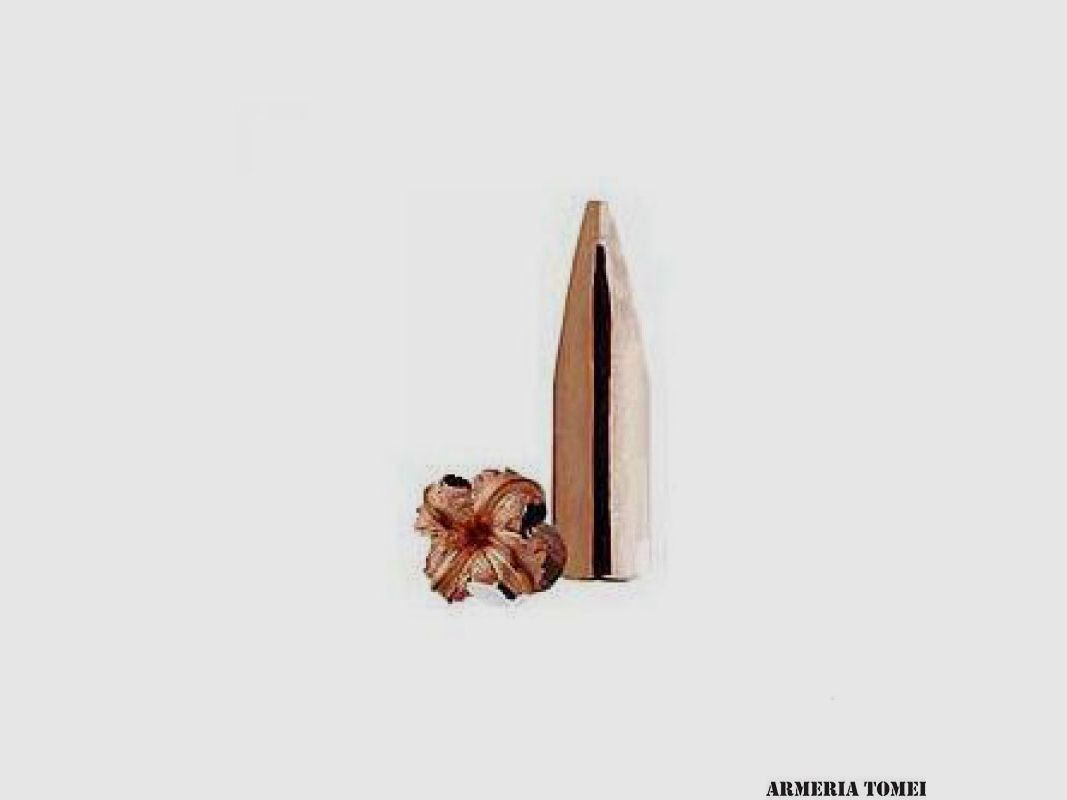 BARNES – BULLETS – X-BULLET 30 CAL. 308″ 180 GR FLAT BASE (50 PCS) -30835