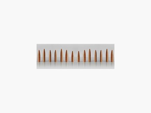 HASLER MONOLITISCHE GESCHOSSE 270 GR122