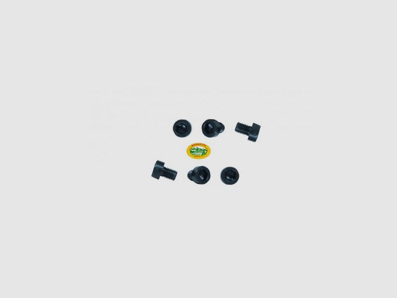 HTG TORX Schrauben Größe 6.48 für Montagen