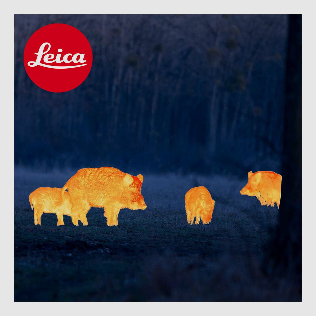 Leica-Optik - Wetzlar	 LEICA CALONOX SIGHT