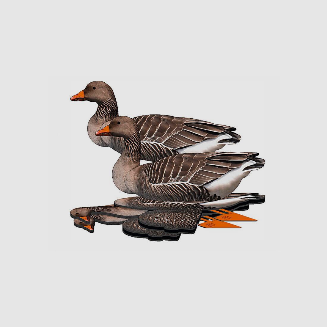 Lockvogel Graugans 6er-Set (FUD Decoy)