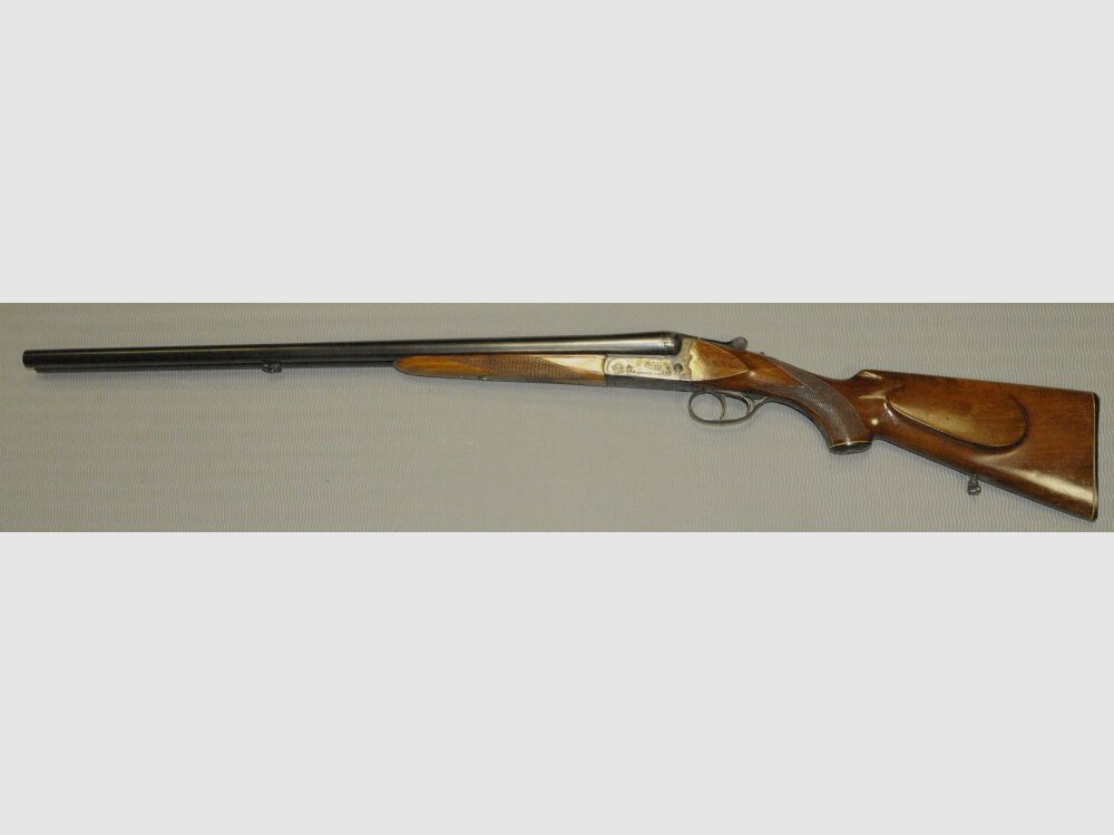 Sauer Aya