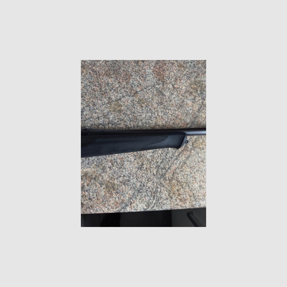 Blaser R8 Professional Success