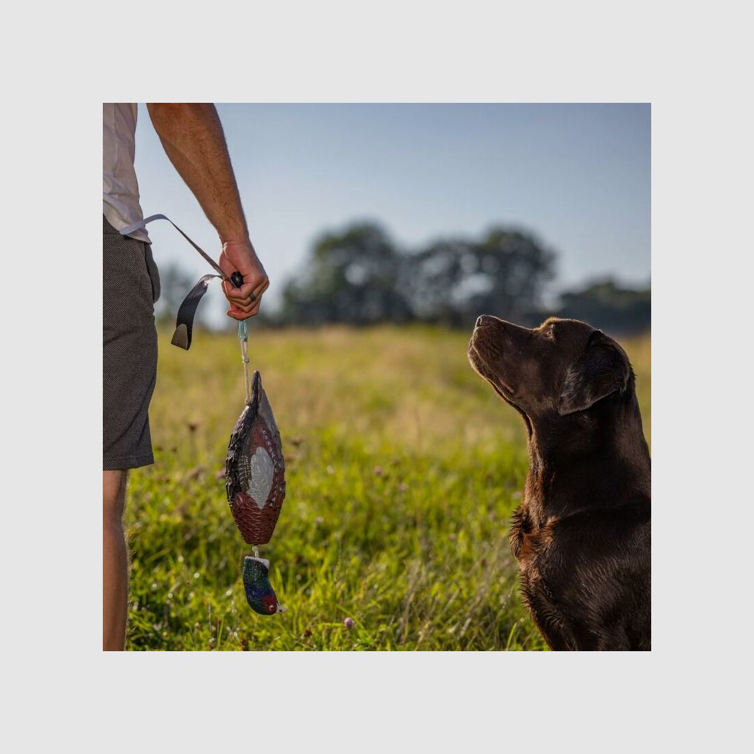 HP&G Apportierdummy Fasan