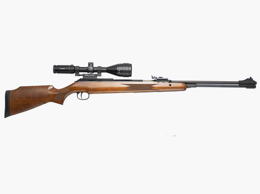 Diana 460 Magnum