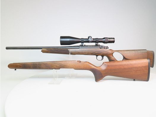 Steel Action HS