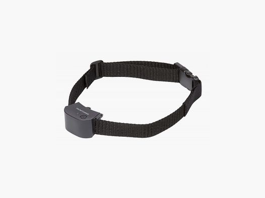 Halsband allein für Canifugue SMALL Num'Axes
