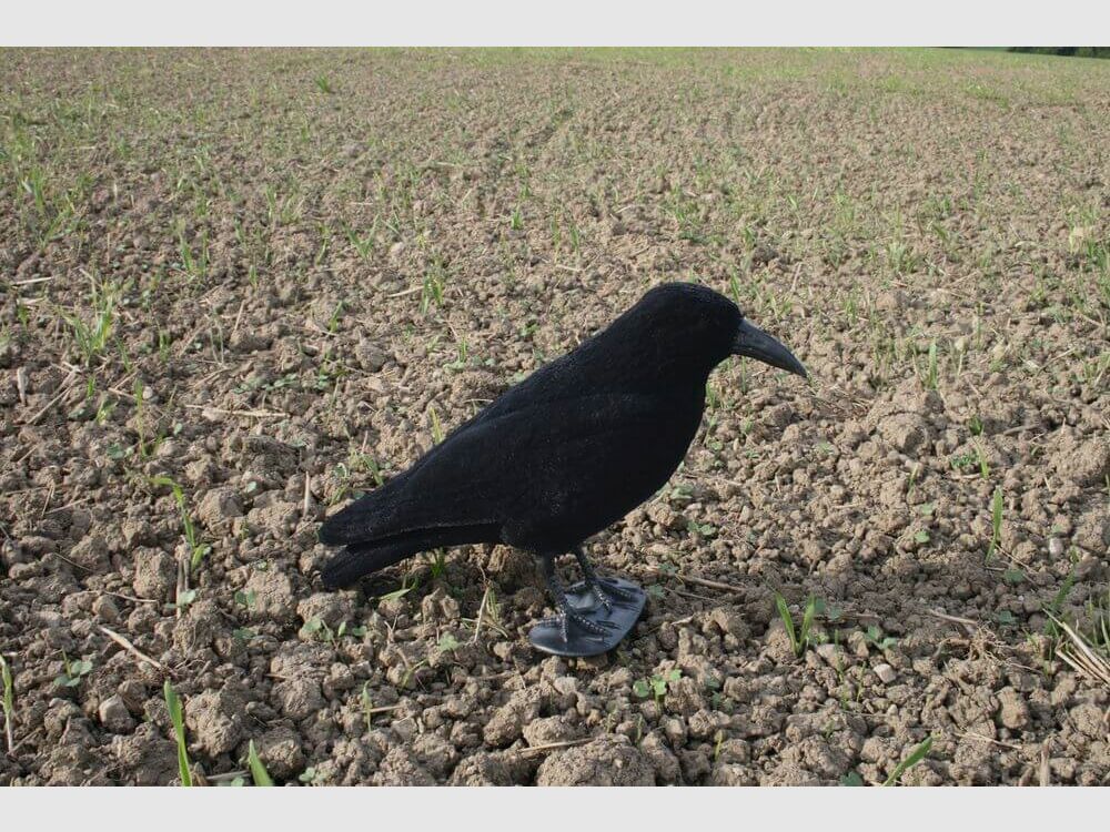 Plastic lock crow - flocked