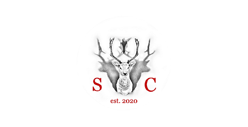 SaynConsult e.U.
