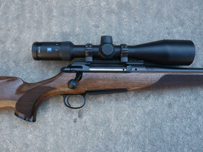 Sauer 101