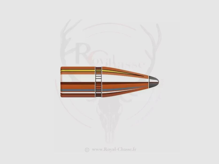 100 ogive cal.22 D.224 55Grs SP WC HORNADY