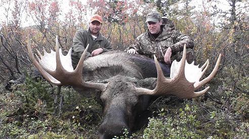 Dall sheep and moose hunting in Alaska. Big ram big bull moose hunters dream