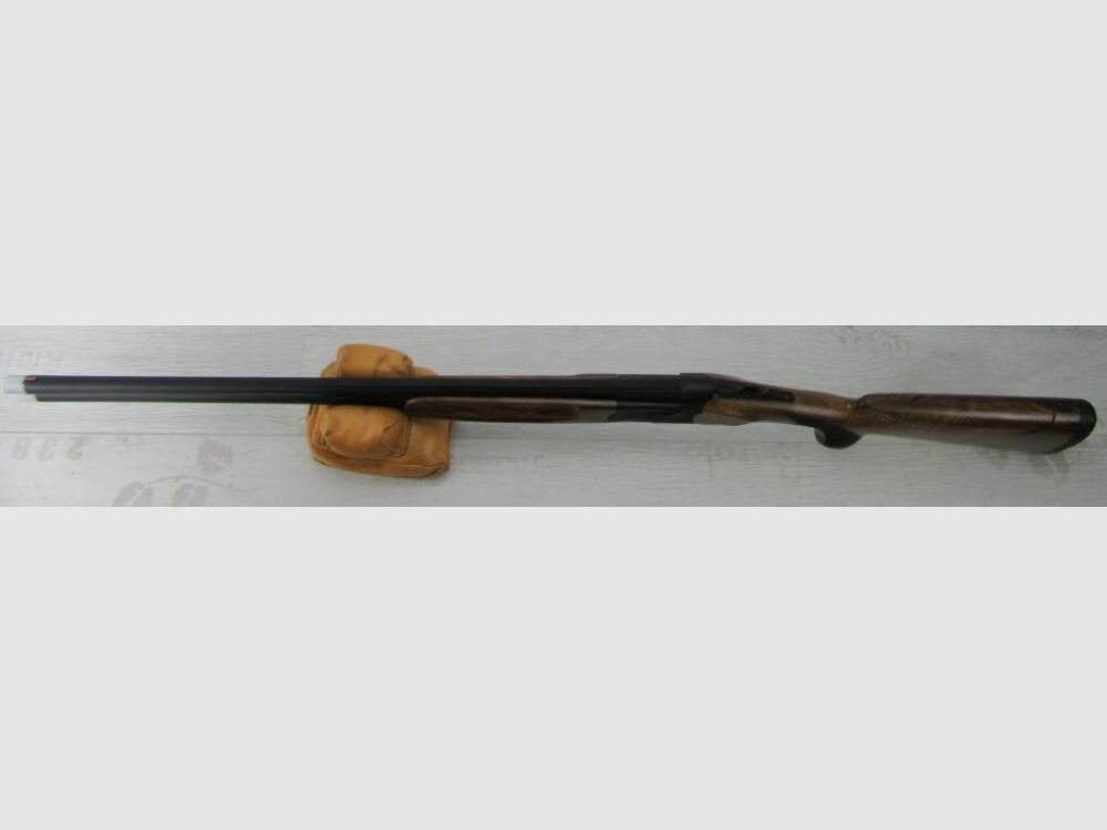 Brenner BF20 Supersport