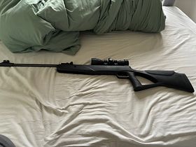 Diana Two Sixty mit Walther Visier