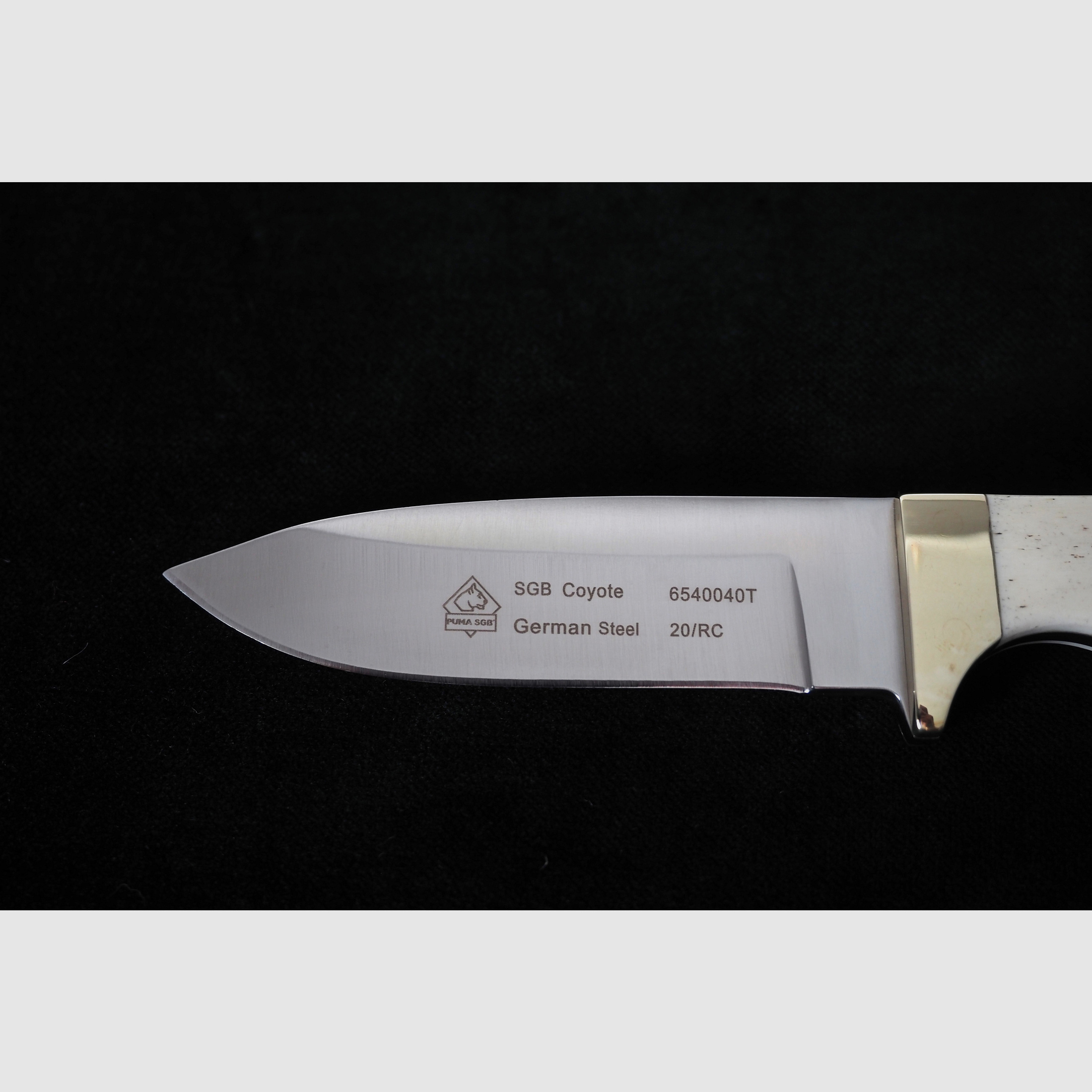 Puma SGB Coyote Glattes Weißes Knochen-Jagdmesser mit Lederscheide, Vitrinen Stück aus Sammlung, Neu und unbenutzt