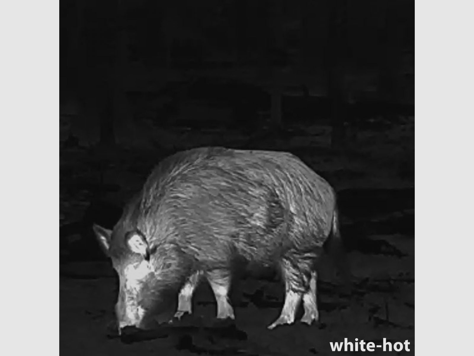 Lahoux Clip Elite 50 thermal imaging device