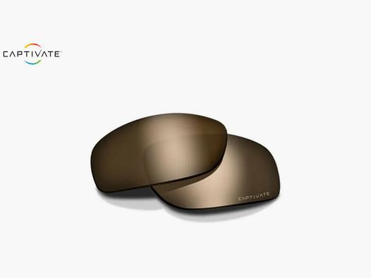 Ersatzgläser für Wiley X Founder Brille in CAPTIVATE™ Tungsten Mirror AC6FNDCTM