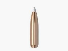 Puntas Cal. 338-250 Spitzer Nosler Accubond 50un.