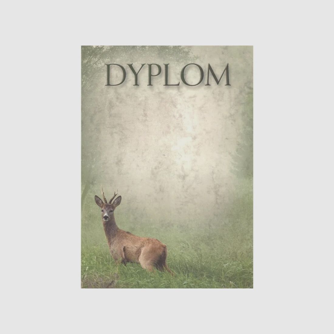 DIPLOMA – CORZO