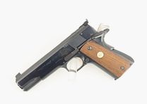 Colt ACE