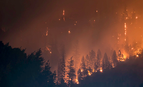 Achtung! Waldbrand!