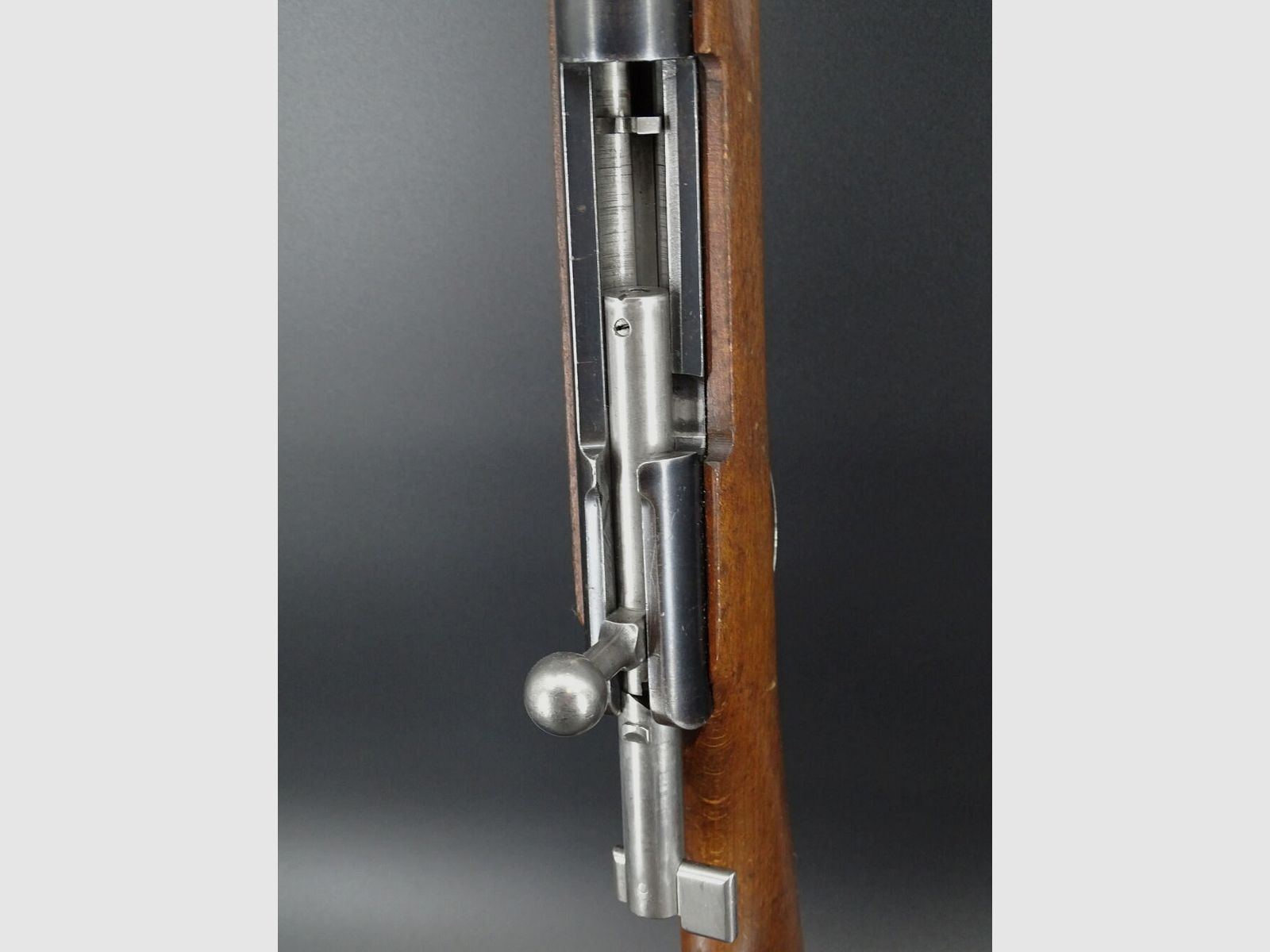 Mosin Nagant Polen " 11 " Bj 1954 Kaliber .22lr Mosin Wehrsport Karabiner Polen