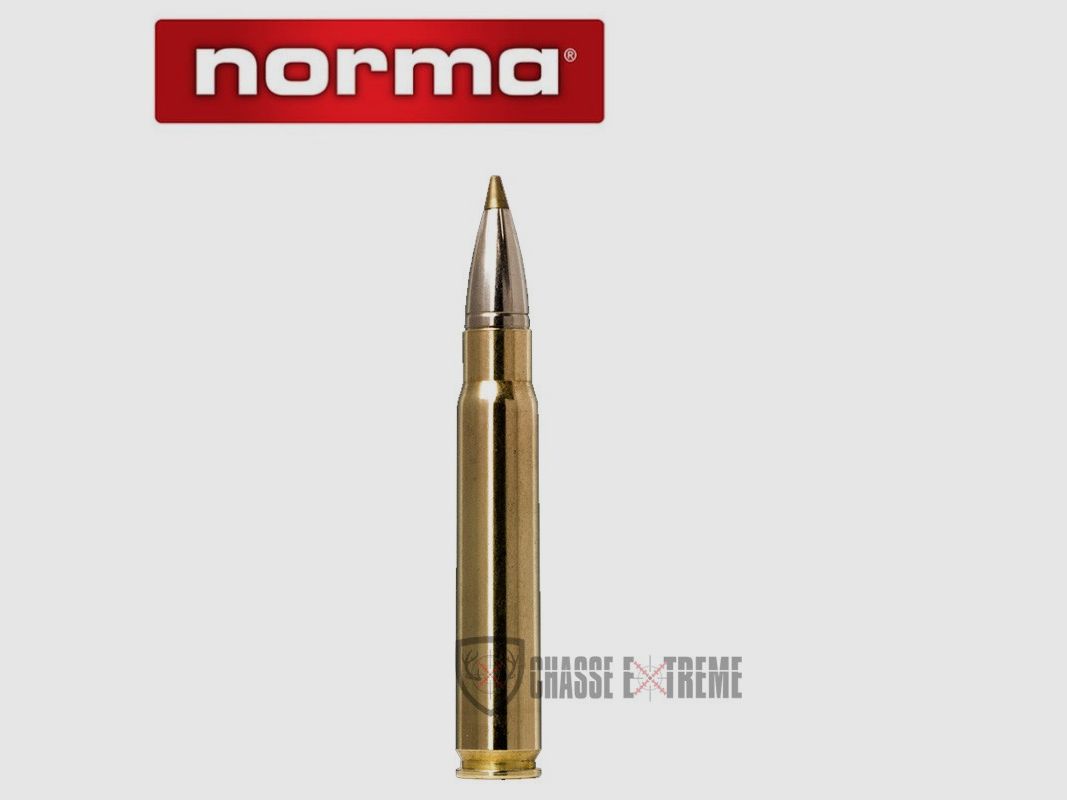 20 Munitions NORMA Ctg cal 9.3X62-184gr Evostrike