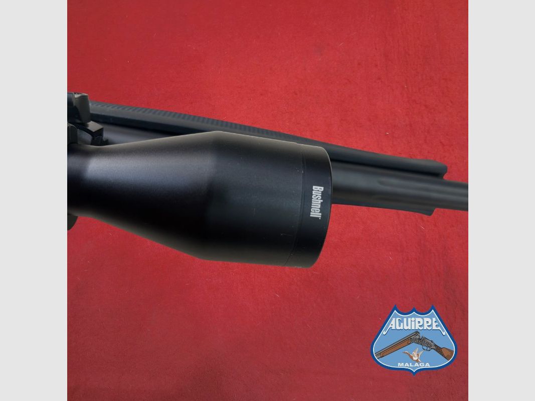 Bergara BA13 Thumbhole Cal. .222 Rem + Lunette Bushnell, image 6 sur 9