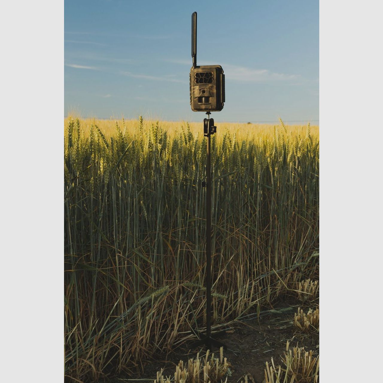 Seissiger Erdspiess Stativ für Wildkameras, Bild 1 von 3