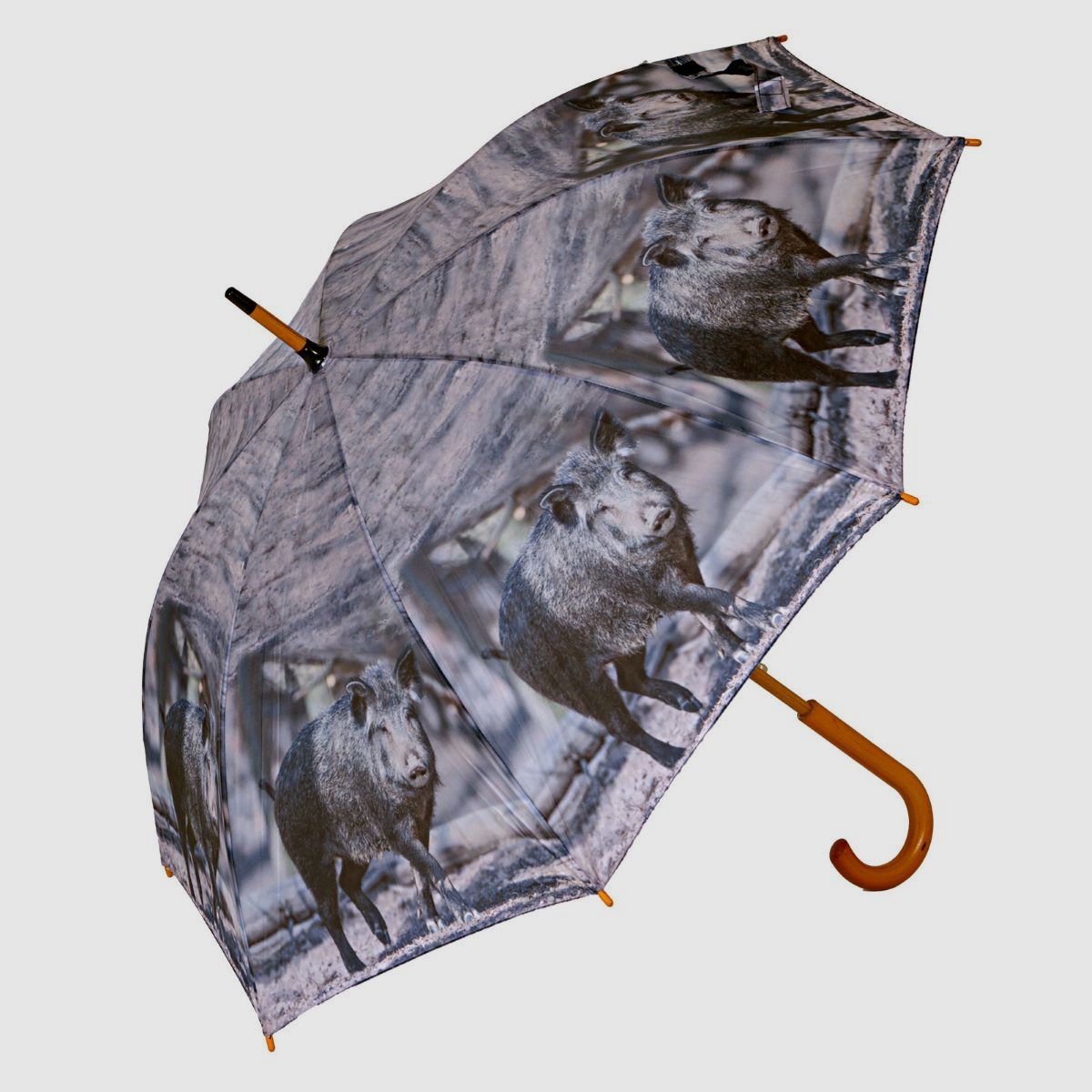 AKAH Regenschirm Sauen