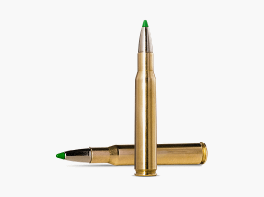 Norma .30-06 ECOSTRIKE 10,7 g 165 gr - 20 pcs