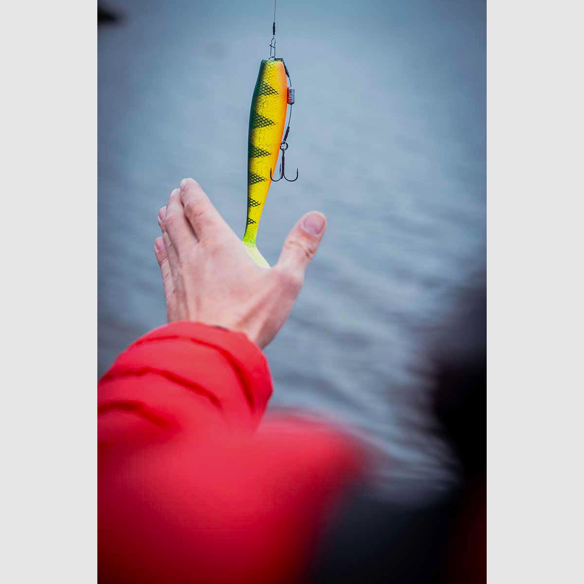 FOX RAGE – ULTRA UV ZANDER PRO SHADS | LOADED SOFTBAITS | 16cm 6.3″ 39g | Natural Perch, image 4 of 4