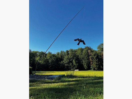 Windrotierender Raubvogel mit 7m Mast