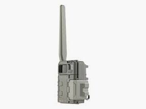 FOOT TRAP SPYPOINT MOD L M 2