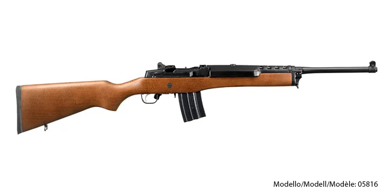 Ruger Mini-14 Ranch .223 Blued