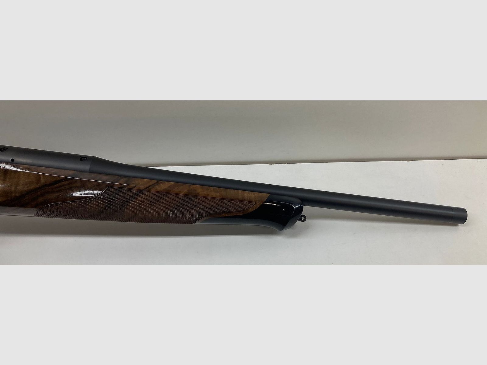 Blaser R8 Success